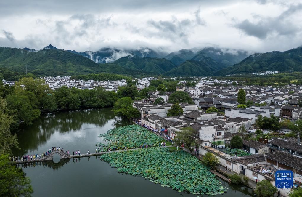 百富宫策略论坛 手机版